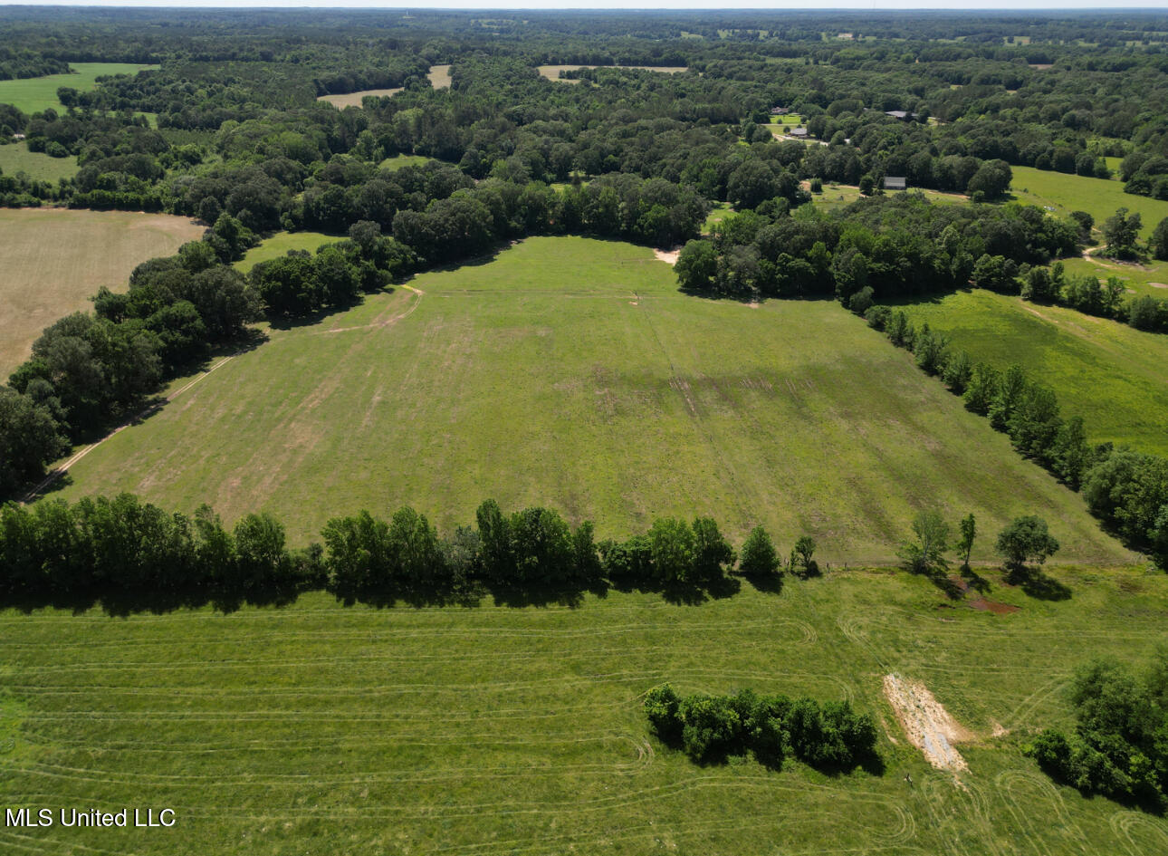 Curtis Road, Lamar, Mississippi image 17
