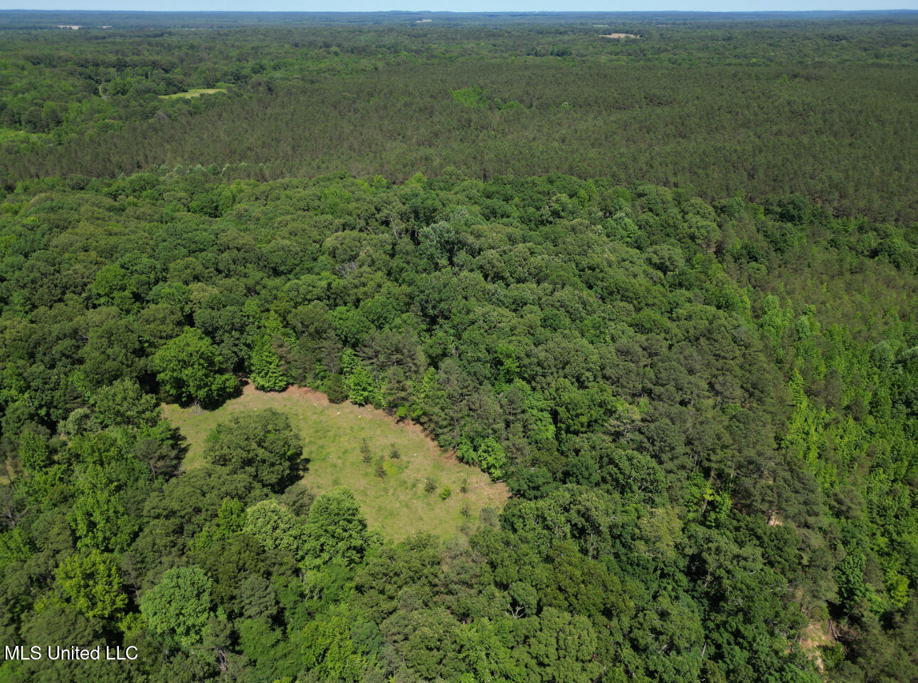 Curtis Road, Lamar, Mississippi image 19