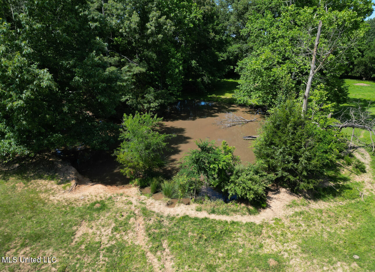 Curtis Road, Lamar, Mississippi image 27