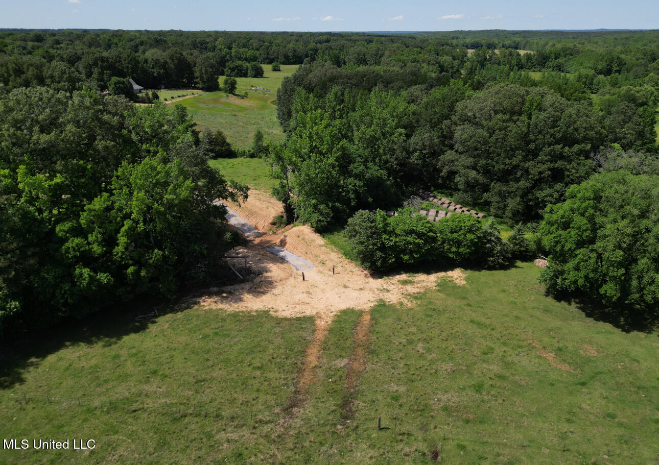 Curtis Road, Lamar, Mississippi image 25