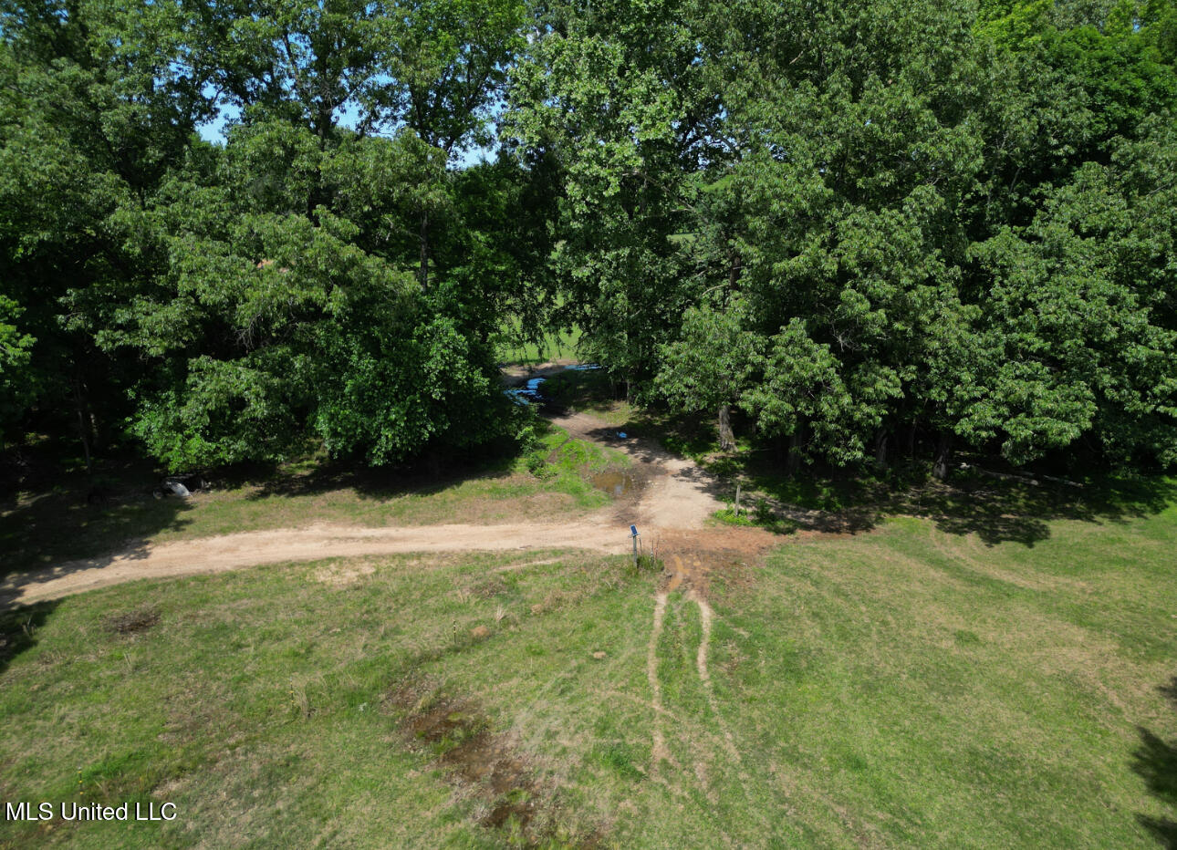 Curtis Road, Lamar, Mississippi image 28