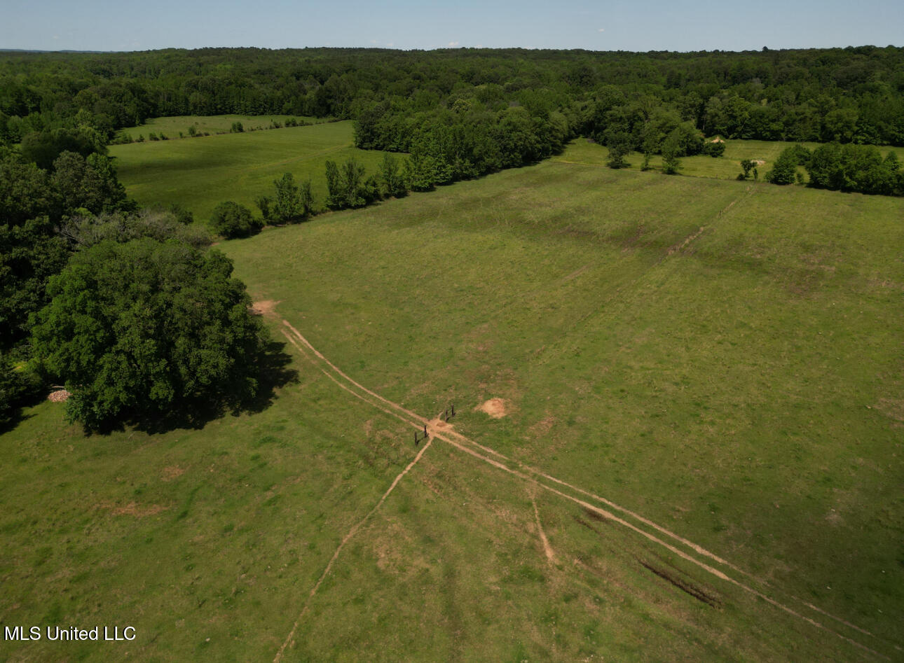 Curtis Road, Lamar, Mississippi image 26