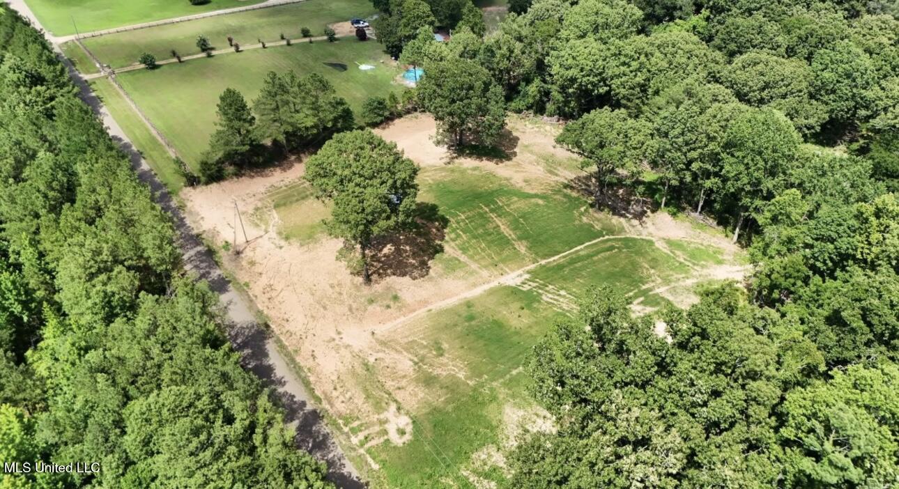 Curtis Road, Lamar, Mississippi image 9