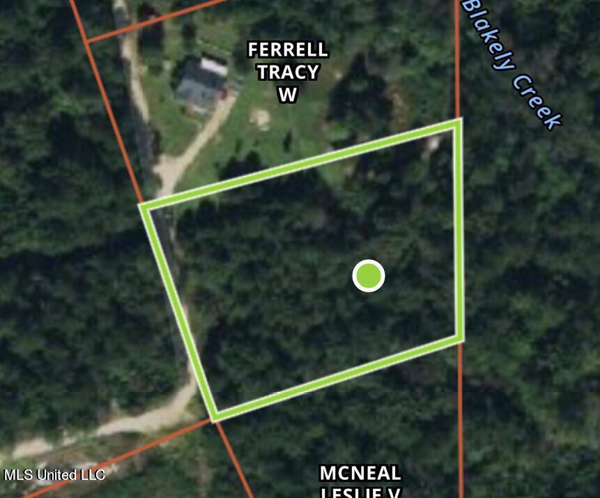 2 Acres Ferrell Lane, Leakesville, Mississippi image 6