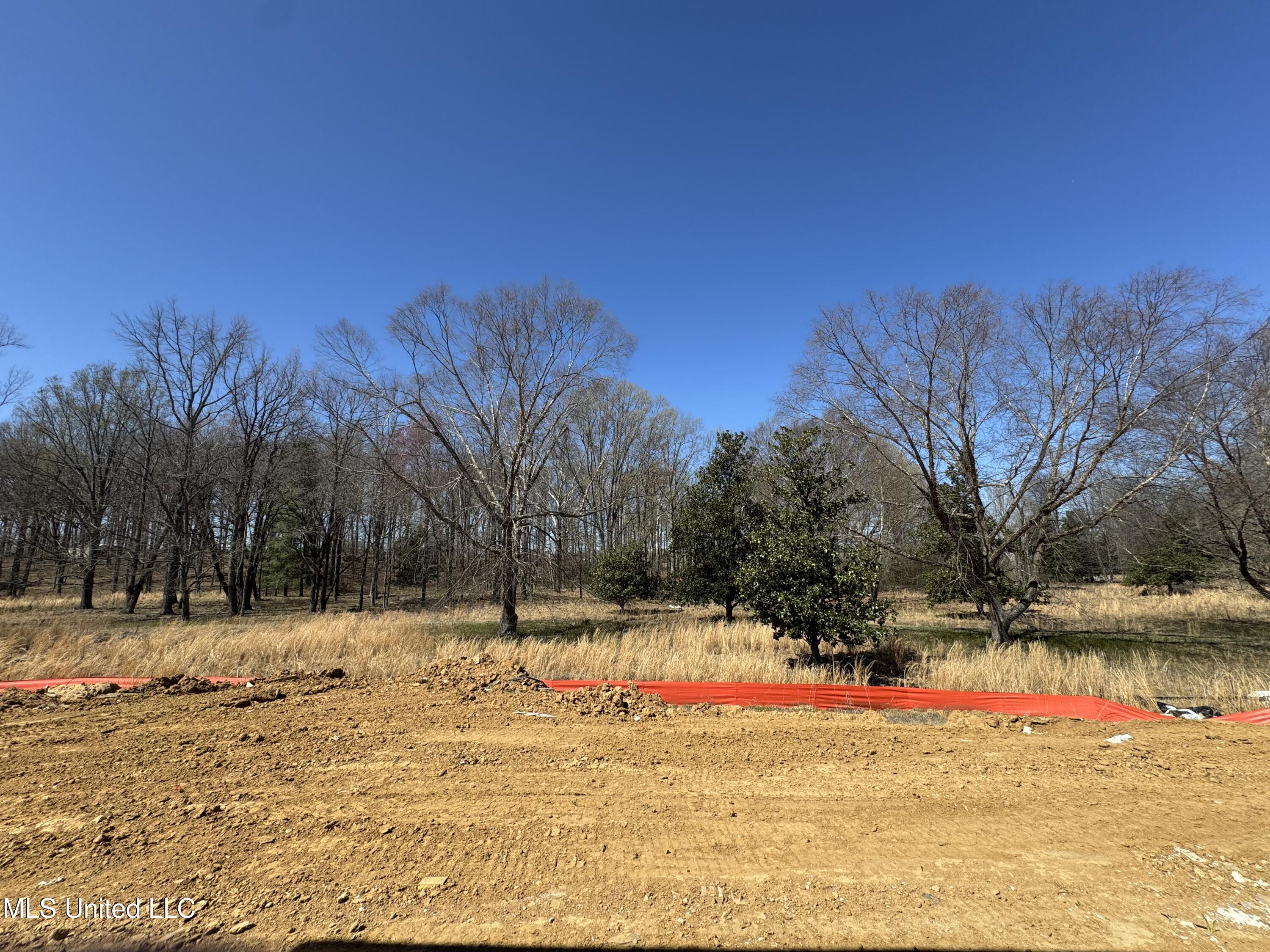 4275 W Olivia Circle, Olive Branch, Mississippi image 9