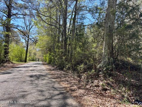 Vacant Land For Sale - SE Evans Loop<br/> Lincoln County, Ruth, MS 39662