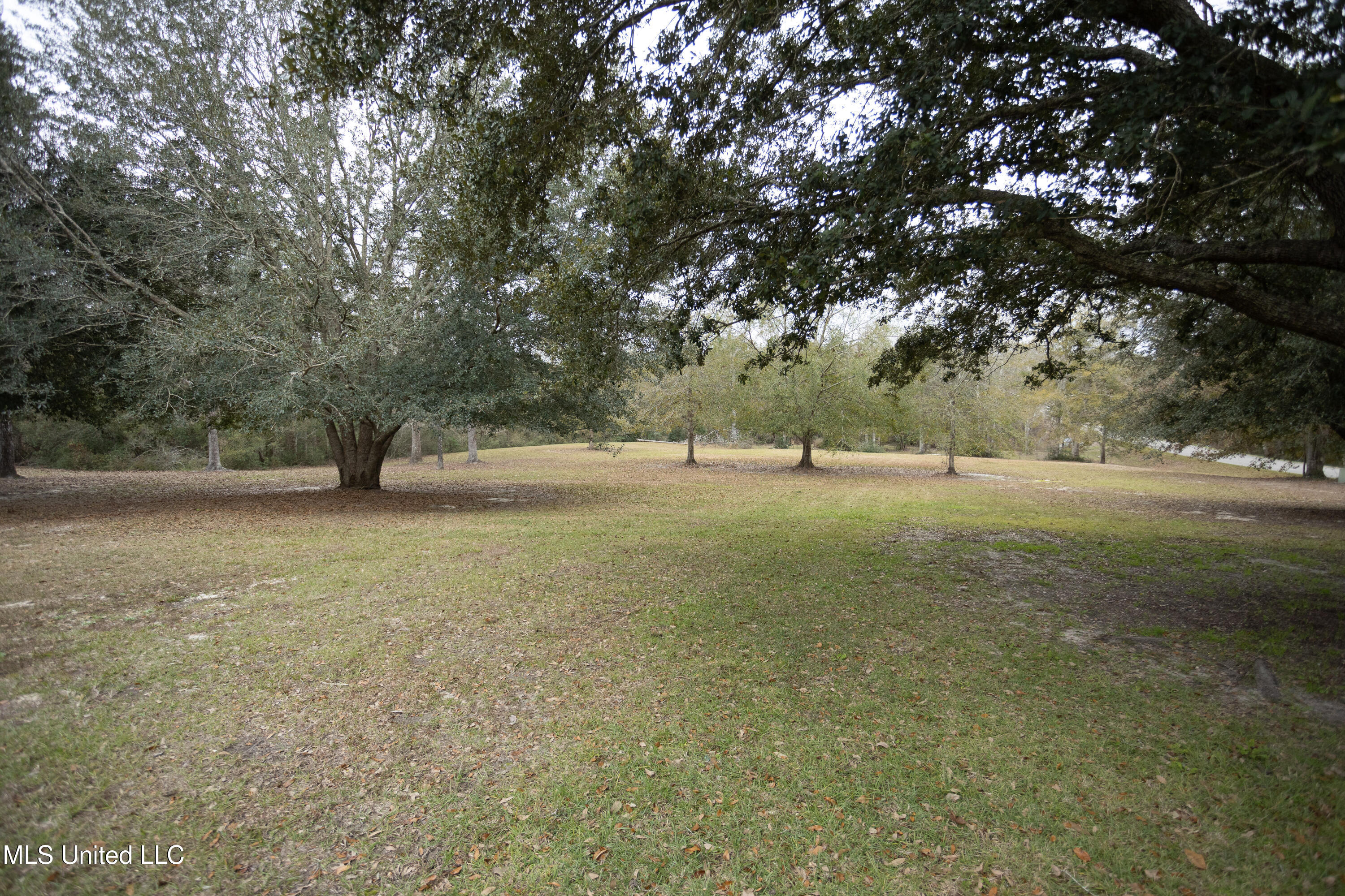 4 Mitchell Cove Cove, Carriere, Mississippi image 24