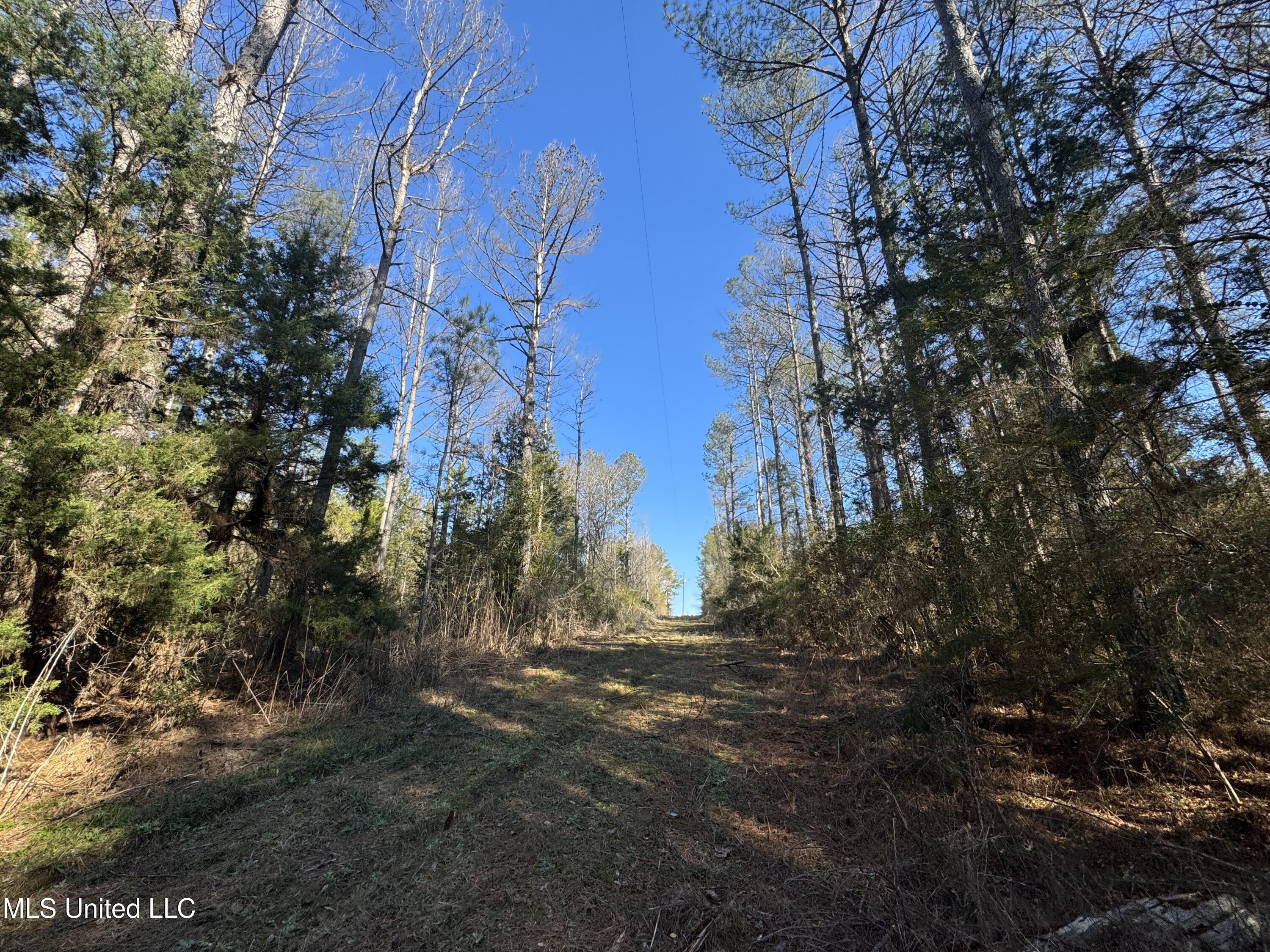 Attala Co Rd 4102, Sallis, Mississippi image 7