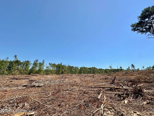 7 CUTOFF RD, WALNUT GROVE, MS 39189 - Image fbabc06a1164bfaa7d5d3bc22491528d/2573554492