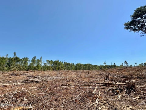 Vacant Land For Sale - 7 Cut Off Road<br/> Carthage, MS 39051