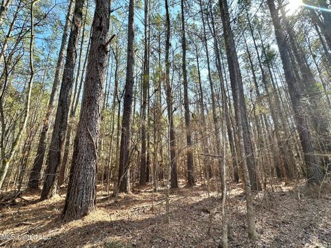 Vacant Land For Sale - 7 Cut Off Road<br/> Leake County, Carthage, MS 39051