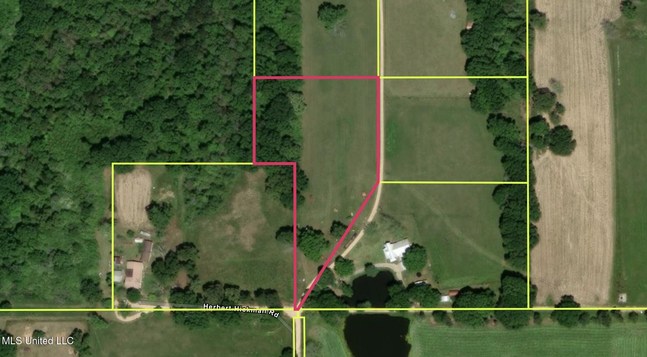 Hickman Rd, Wiggins, Mississippi image 9