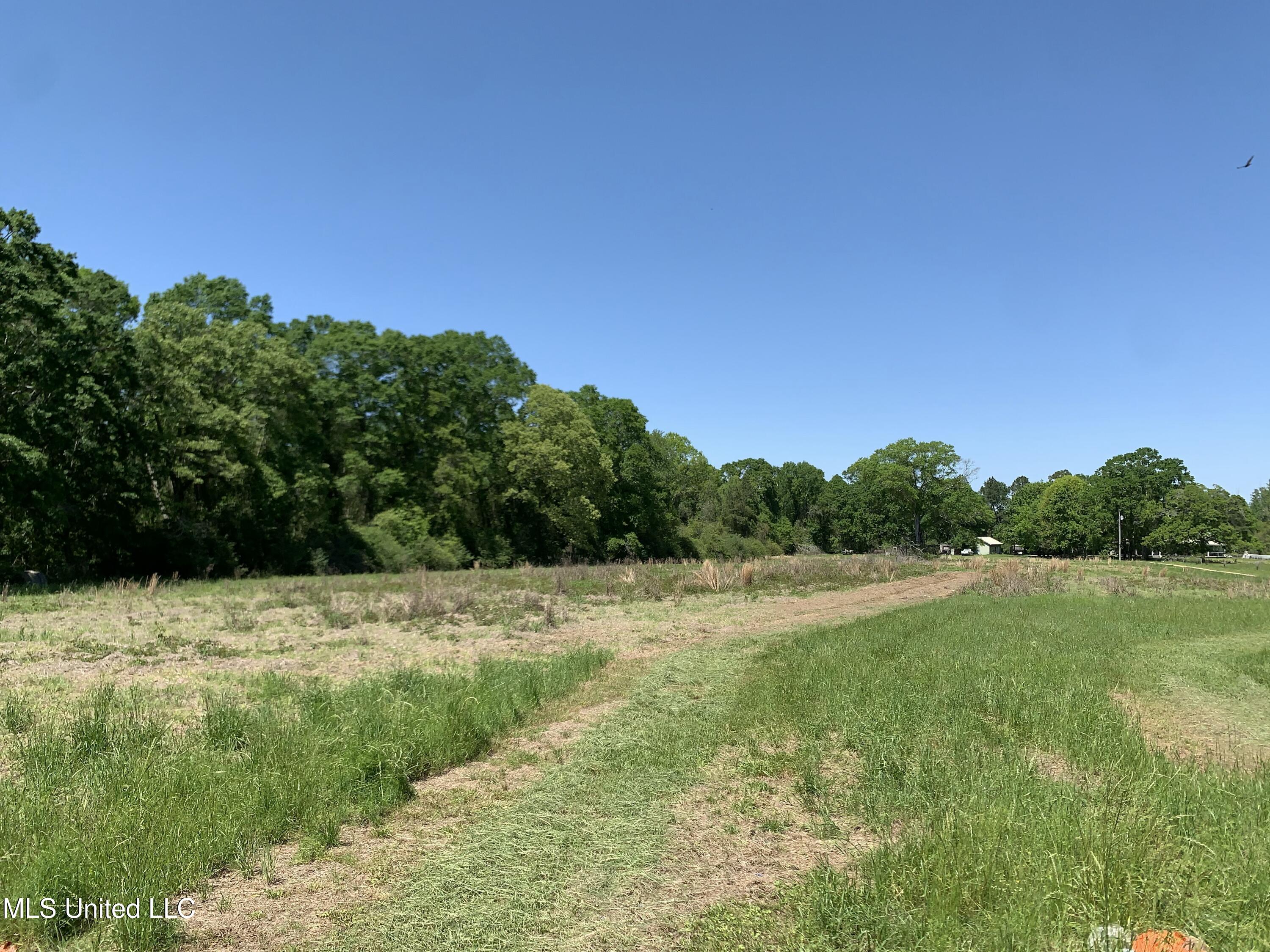 Hickman Rd, Wiggins, Mississippi image 7