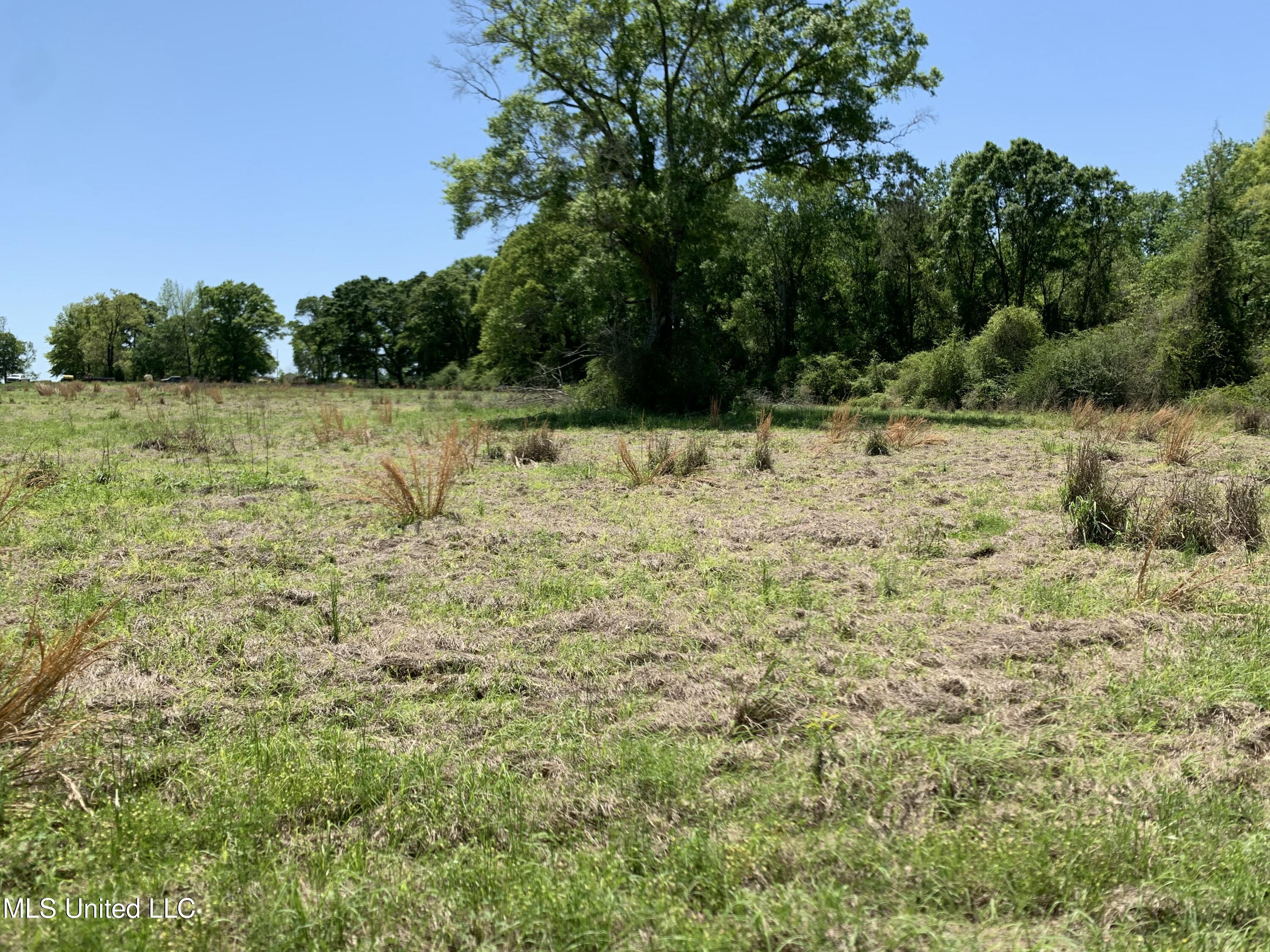 Hickman Rd, Wiggins, Mississippi image 6