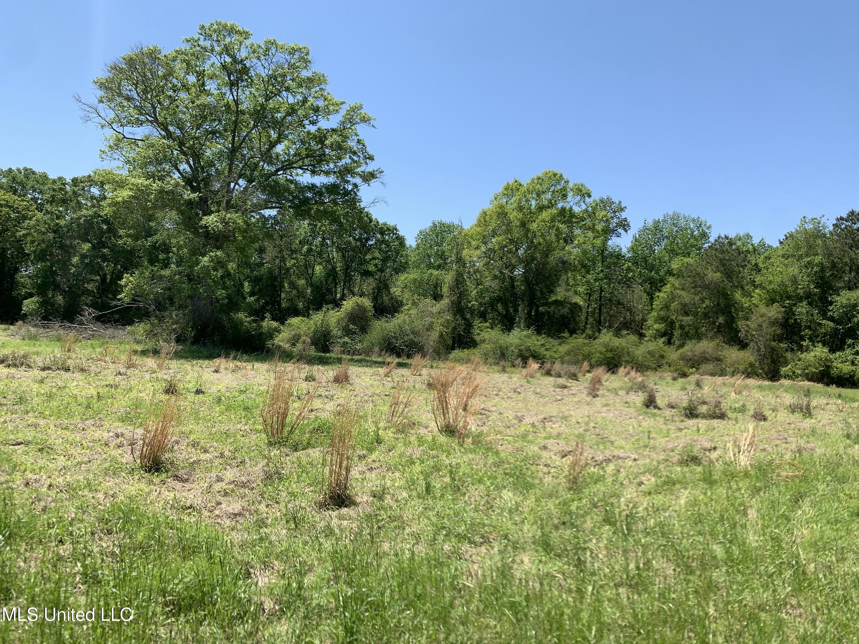 Hickman Rd, Wiggins, Mississippi image 5