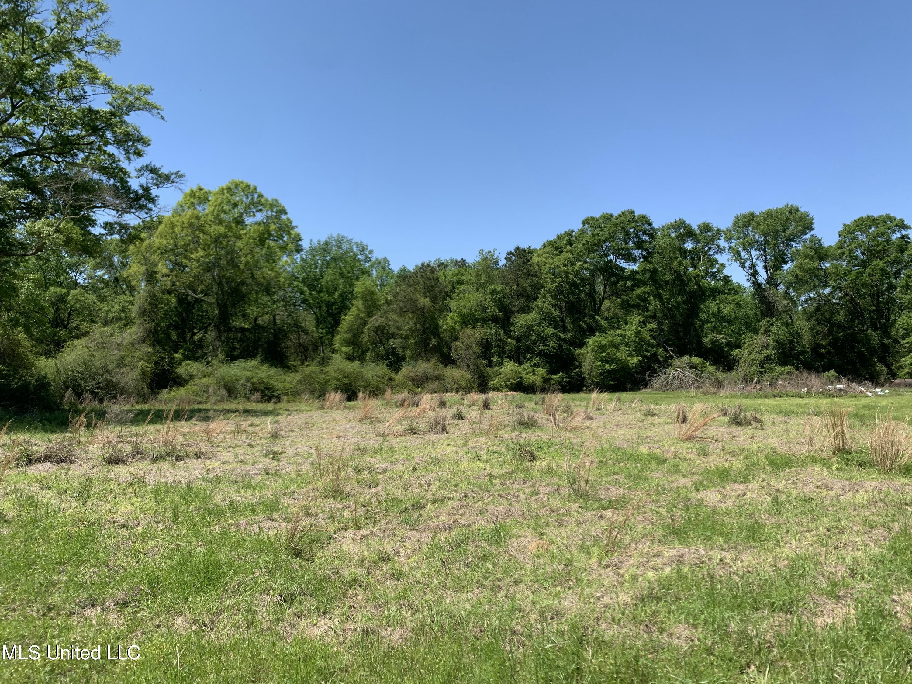 Hickman Rd, Wiggins, Mississippi image 4