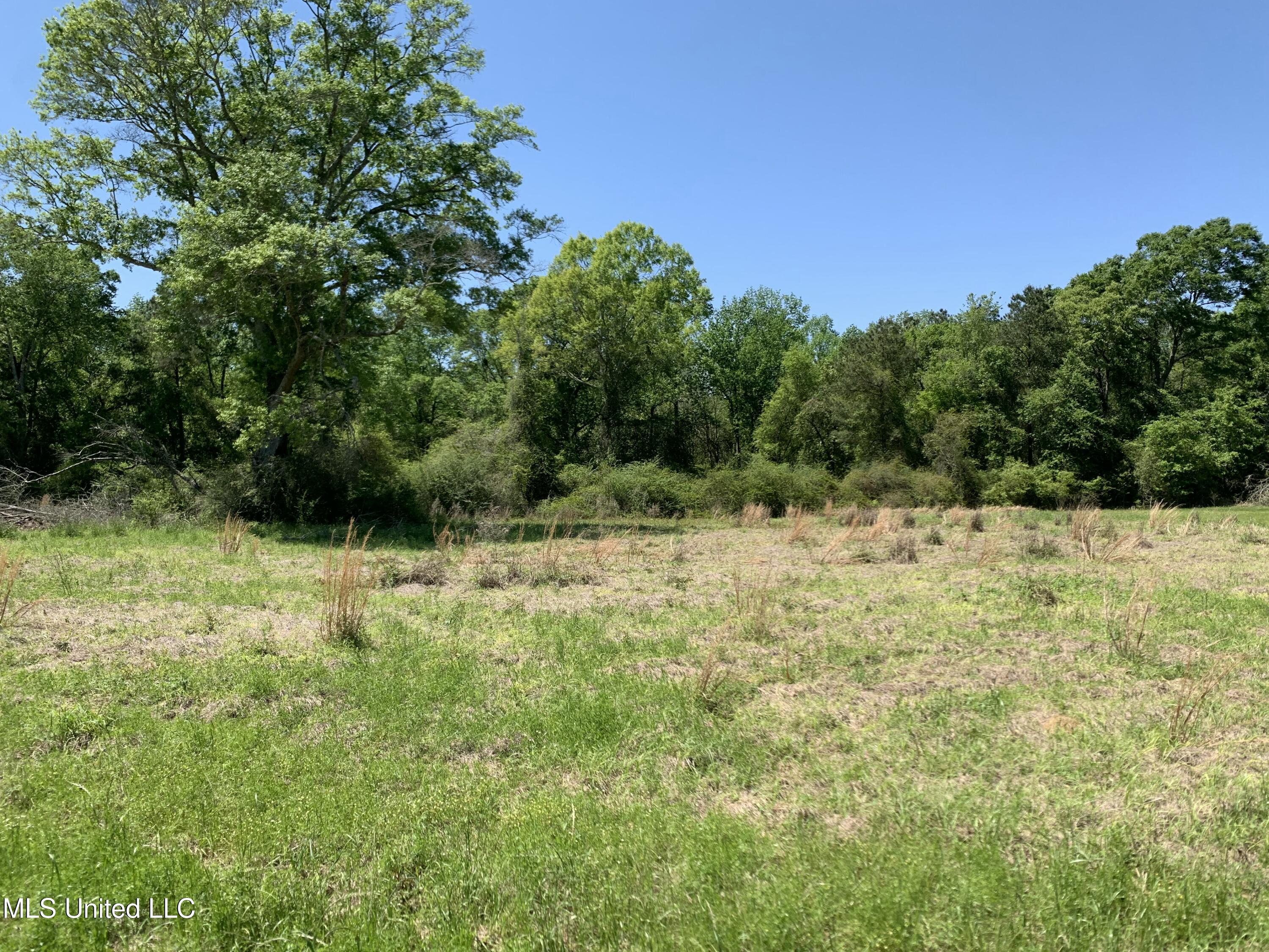 Hickman Rd, Wiggins, Mississippi image 3