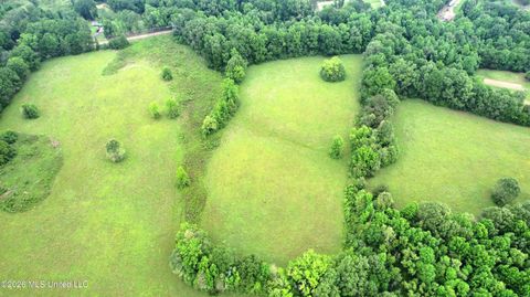 Vacant Land For Sale - Tom Collins Road<br/> Hinds County, Utica, MS 39175