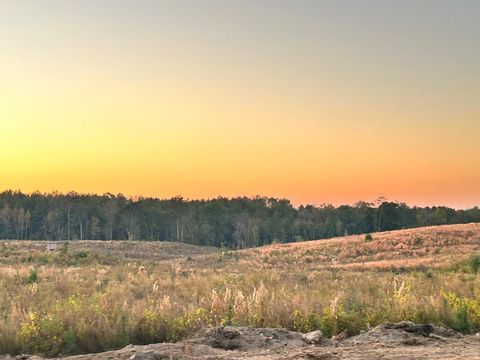 Vacant Land For Sale - PARCEL 3 Hwy 24<br/> Amite County, Liberty, MS 39645