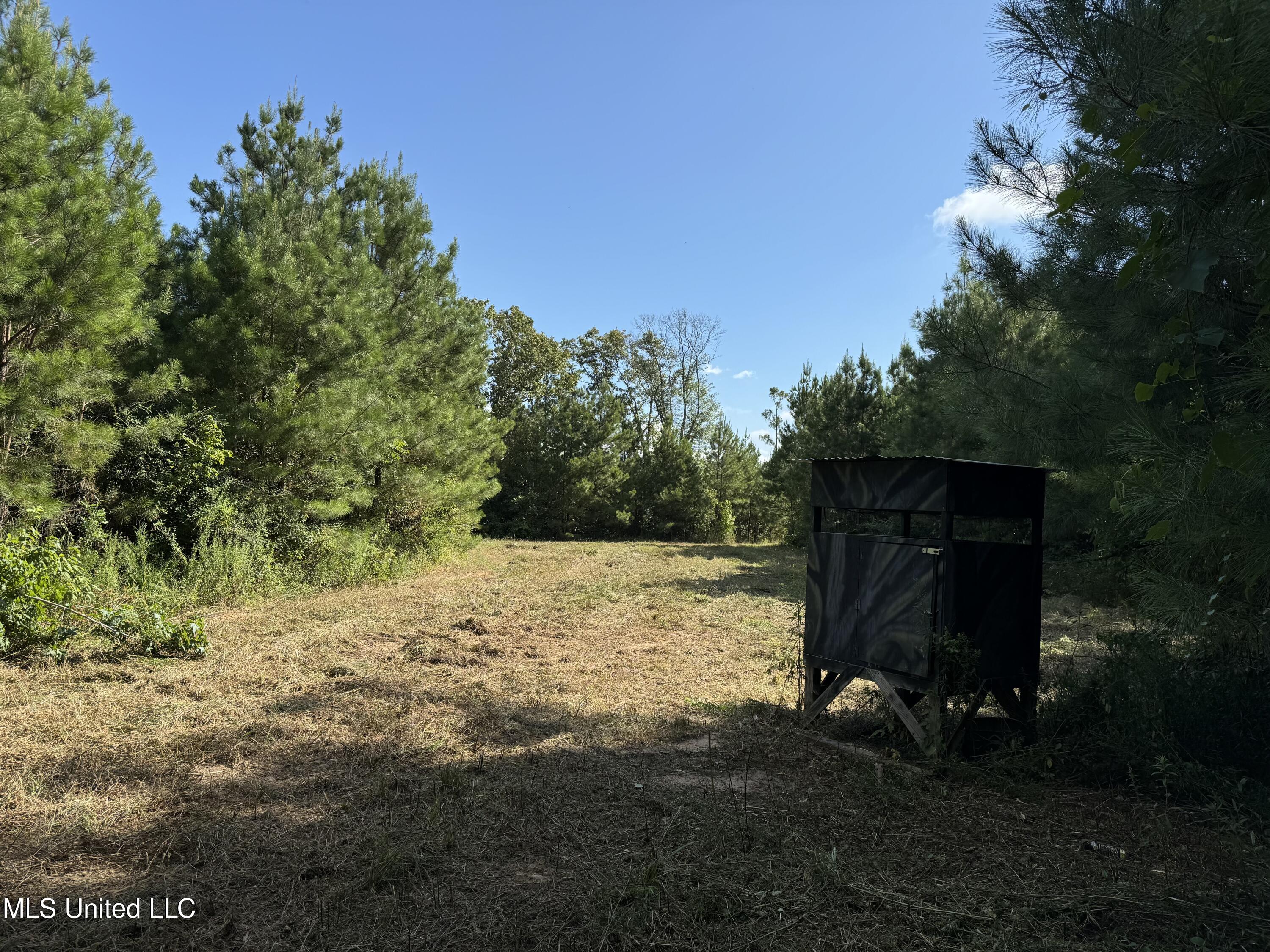 920 SW Auburn Drive, Bogue Chitto, Mississippi image 9