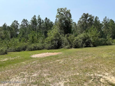 Vacant Land For Sale - Roy Oneal Road<br/> Perkinston, MS 39573