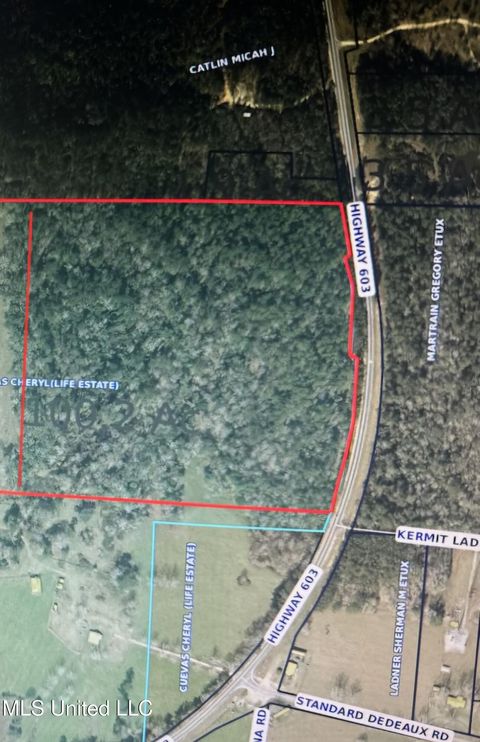 Vacant Land For Sale - Highway 603<br/> Hancock County, Kiln, MS 39556