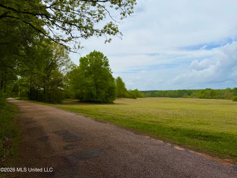 Vacant Land For Sale - 3404 SW Jordan Drive<br/> Smithdale, MS 39664