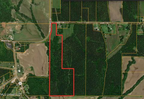 Vacant Land For Sale - Cr 7<br/> Union County, Myrtle, MS 38650