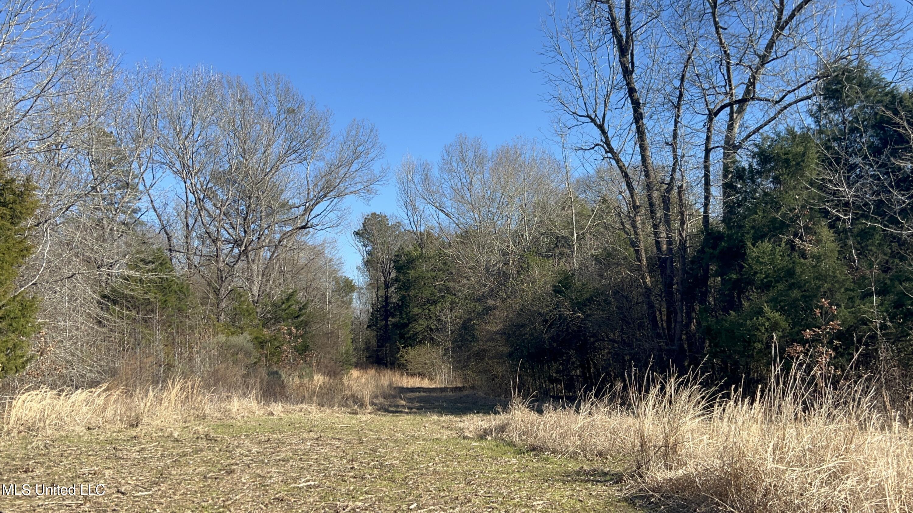 Darden Road, Jackson, Mississippi image 8