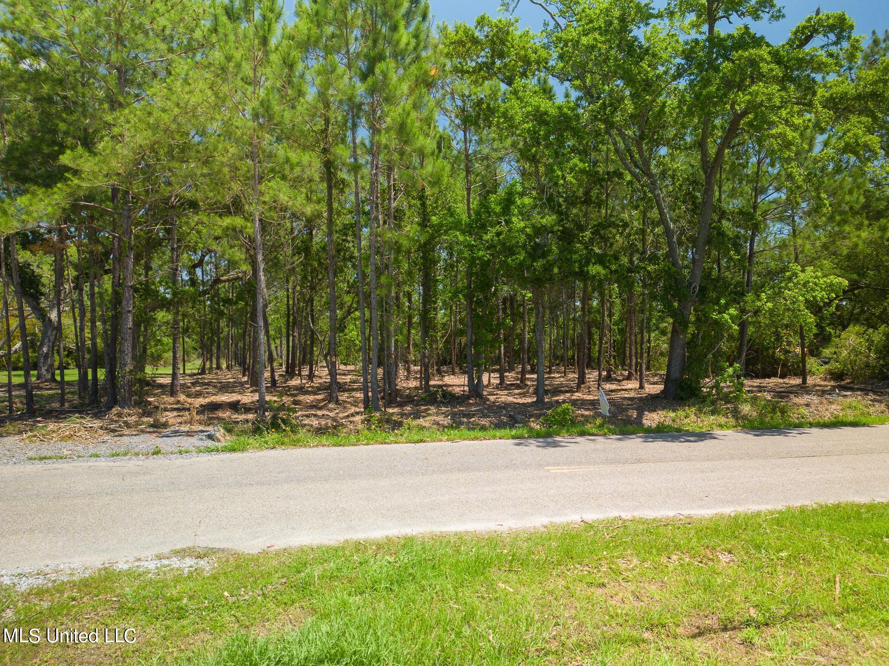 Lot 10 Sandy Hook Drive, Pass Christian, Mississippi image 7