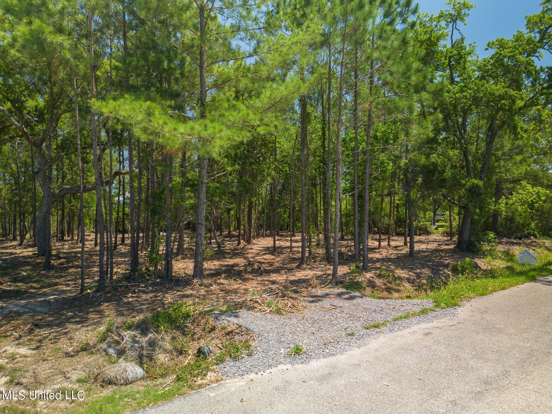 Lot 10 Sandy Hook Drive, Pass Christian, Mississippi image 6
