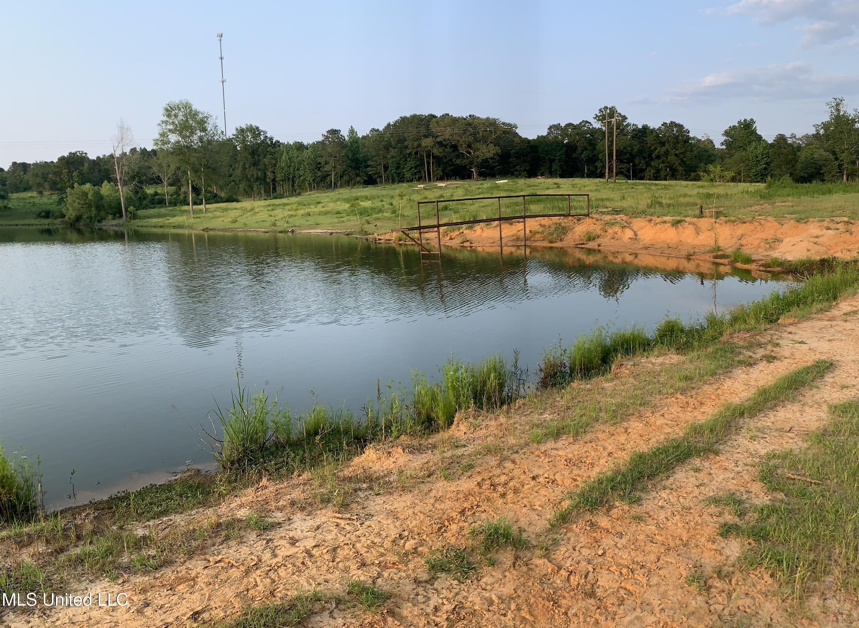 00 Old Gilmer Road, Taylorsville, Mississippi image 8