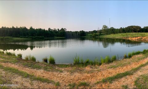 Vacant Land For Sale - 00 Old Gilmer Road<br/> Smith County, Taylorsville, MS 39168