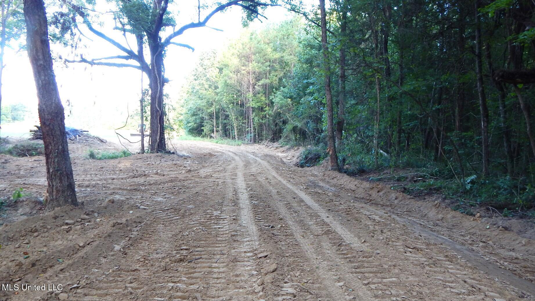 504 247 Country Road, Bruce, Mississippi image 9