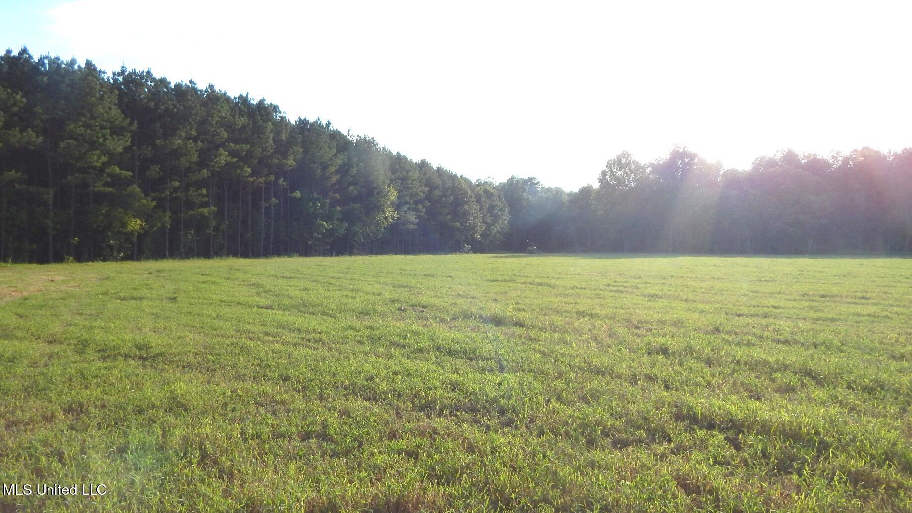 504 247 Country Road, Bruce, Mississippi image 1