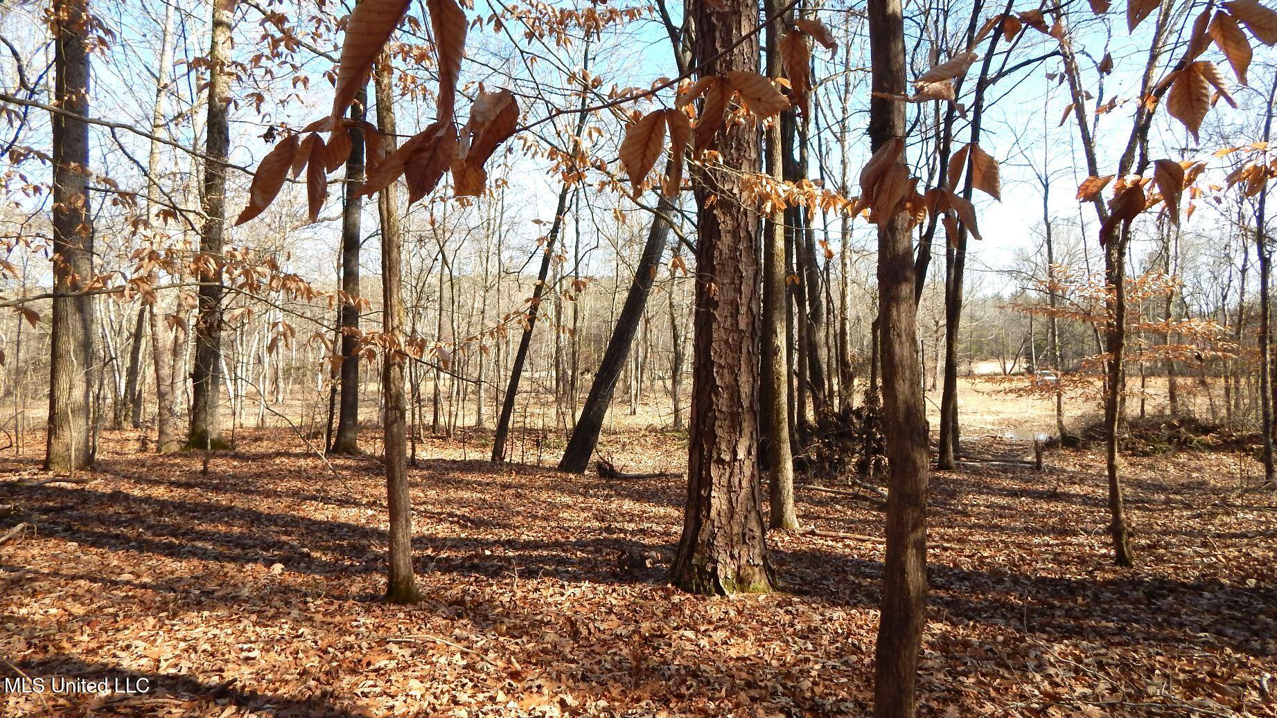 504 247 Country Road, Bruce, Mississippi image 29