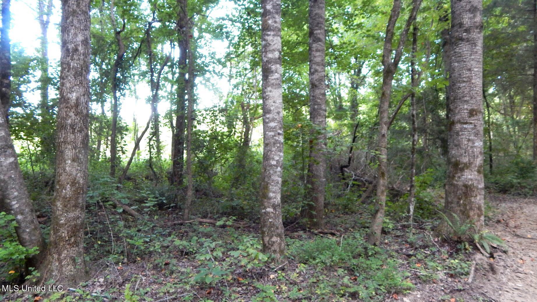 504 247 Country Road, Bruce, Mississippi image 22