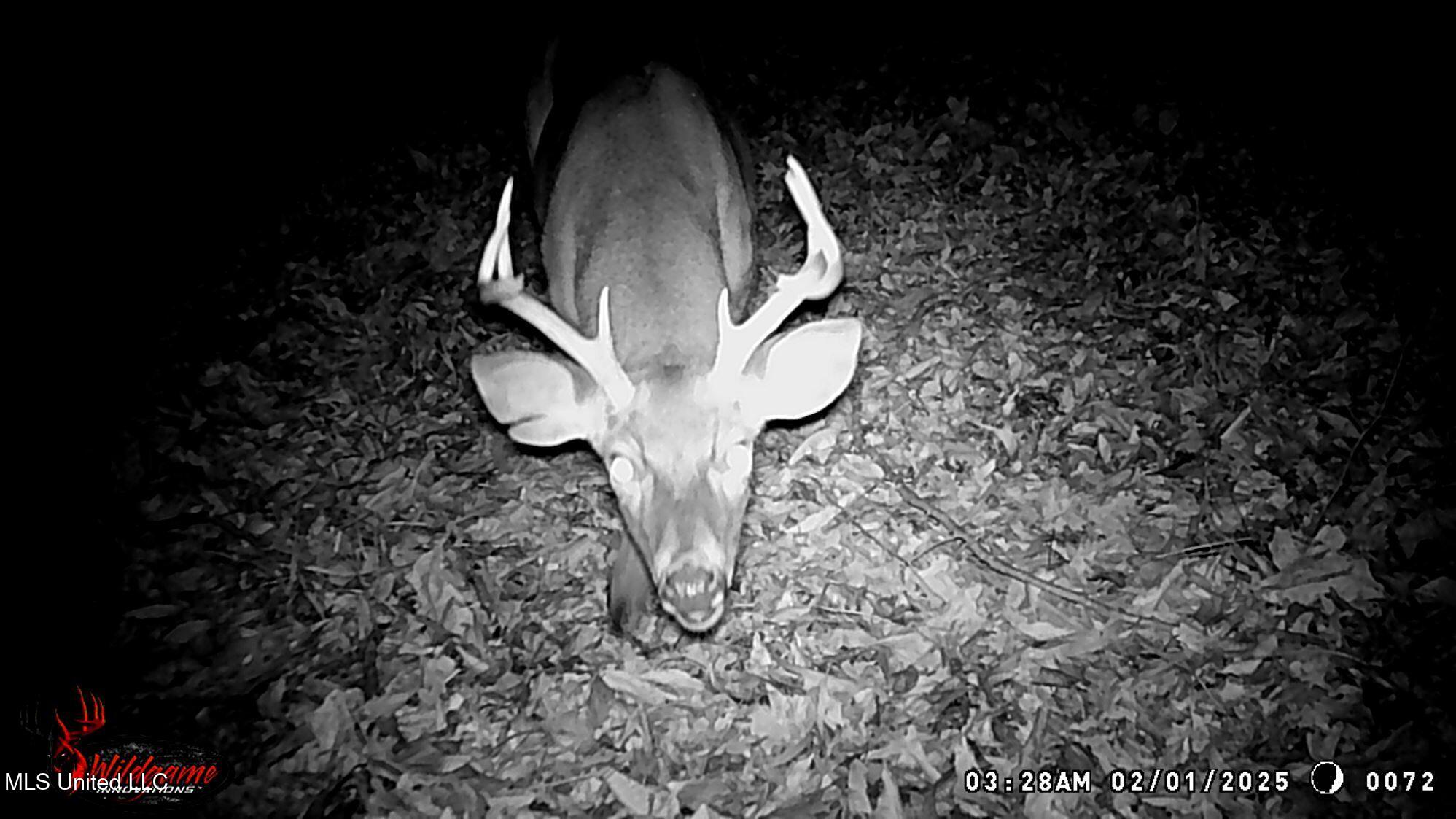 504 247 Country Road, Bruce, Mississippi image 13