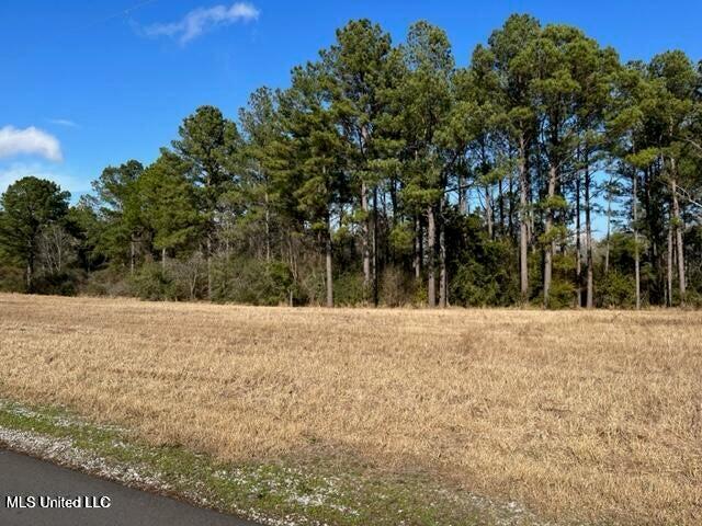 Tbd Southern Hills (parcel 1) Drive, Lucedale, Mississippi image 1