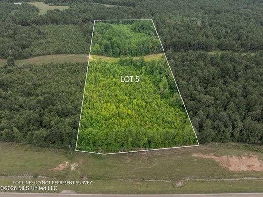 45 HWY 84 W, COLLINS, MS 39428 - Image fc44feb28f3b7edc5ebd5e35548764ee/852358220