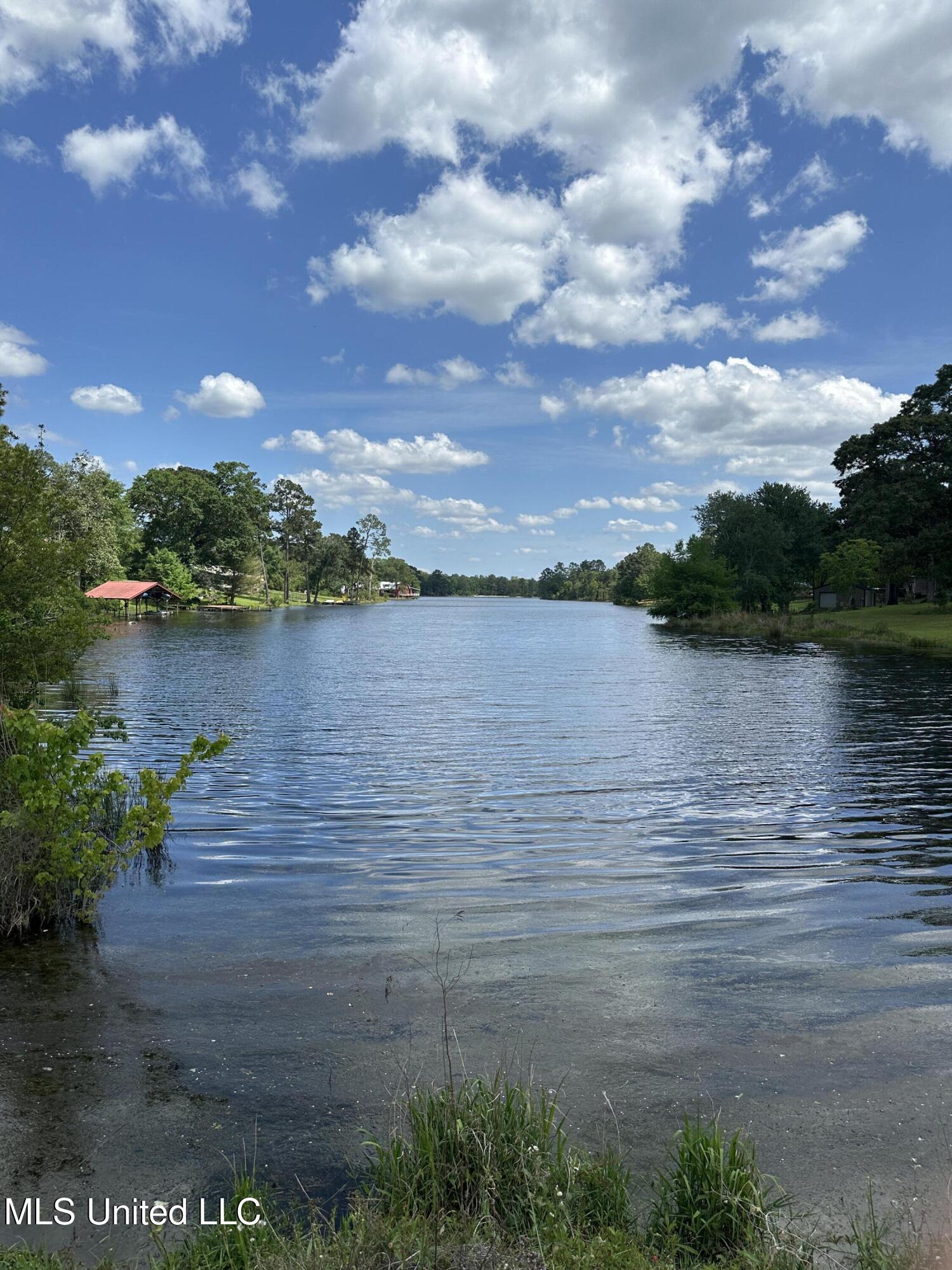 Barbara S Lane, Lumberton, Mississippi image 6