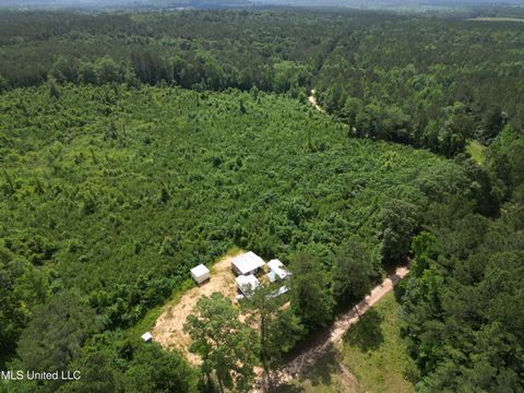 Vacant Land For Sale - Co Rd 2337<br/> Jasper County, Bay Springs, MS 39422
