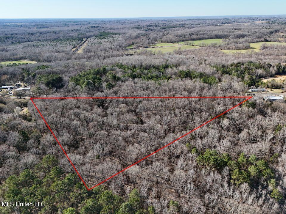 Mcneely Road, Courtland, Mississippi image 4