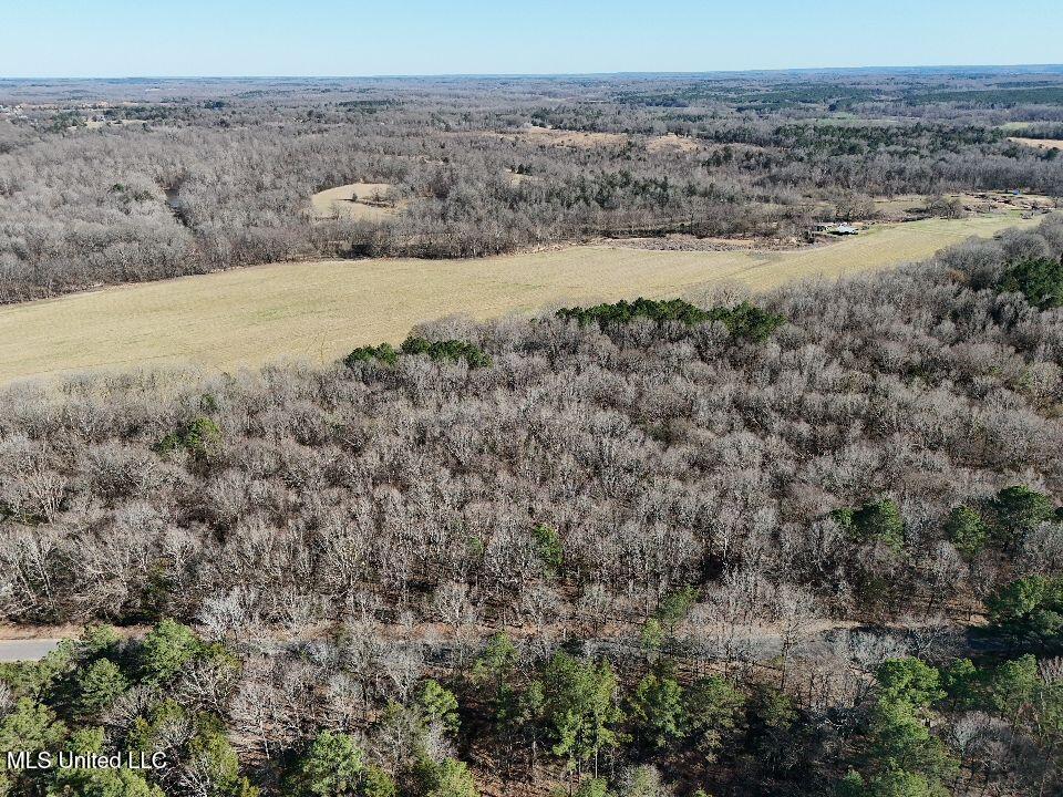 Mcneely Road, Courtland, Mississippi image 3
