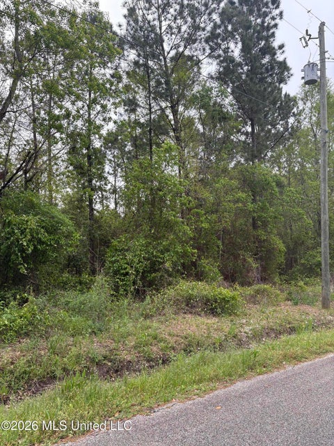 Vacant Land For Sale - 00 Wilson St Street<br/> Bay Saint Louis, MS 39520