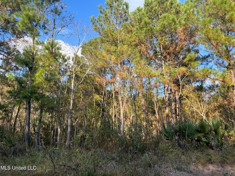 Vacant Land For Sale - Marigold St. Street<br/> Bay Saint Louis, MS 39520