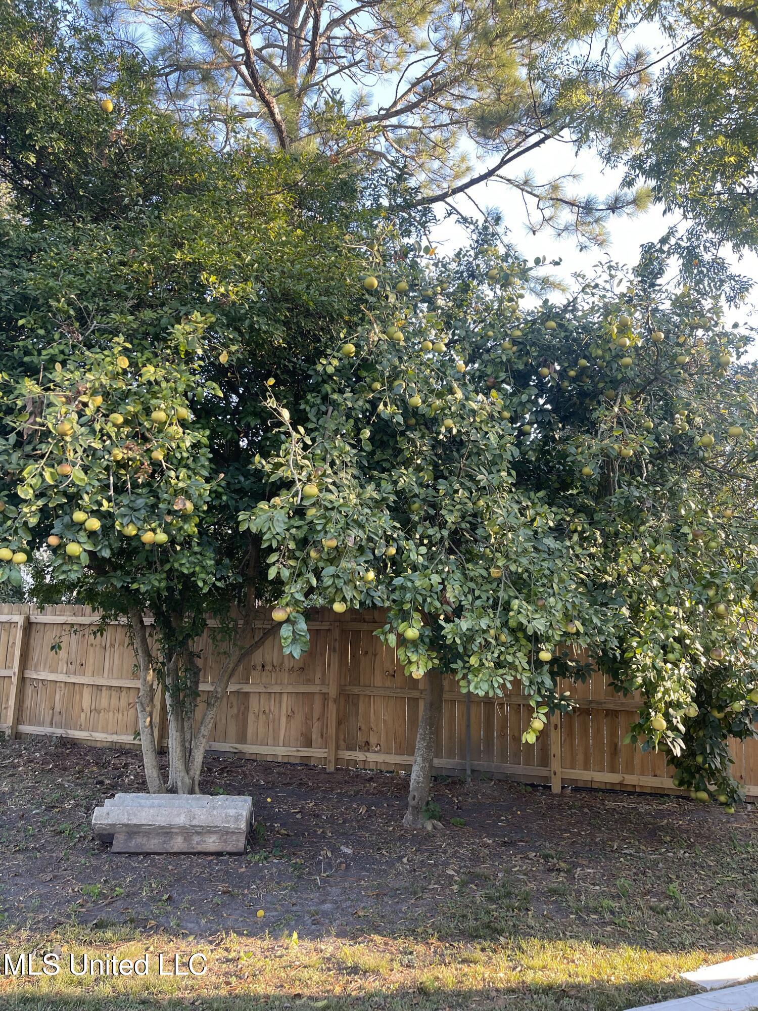 Biloxi, Mississippi 39530, United States, ,Residential,Pending,36039