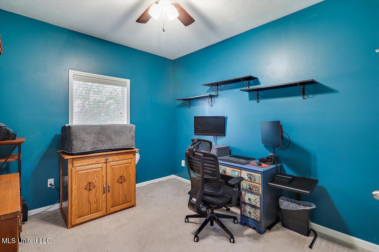 318 Fairview Dr Drive, Brandon, Mississippi image 27