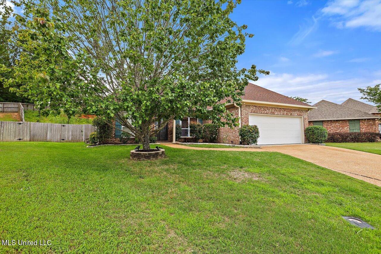 318 Fairview Dr Drive, Brandon, Mississippi image 29