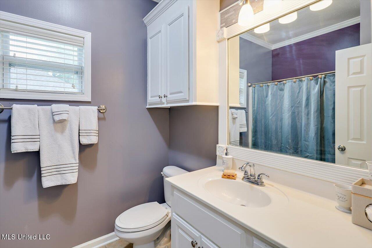 318 Fairview Dr Drive, Brandon, Mississippi image 28
